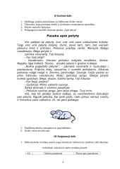 Technologijų pamokos išplėstinis planas 4 puslapis