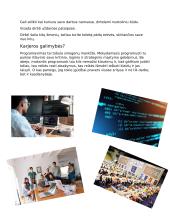 Svajonių profesija. Programavimas 4 puslapis