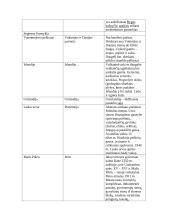 UNESCO objektai 2 puslapis