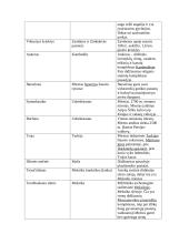 UNESCO objektai 7 puslapis