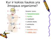 Tavo kūnas auga ir keičiasi  13 puslapis