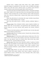 Verbų sekmadienis Lietuvoje 5 puslapis