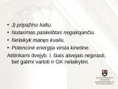 Keblesnieji įnagininko ir dvejybinių linksnių vartojimo atvejai 15 puslapis