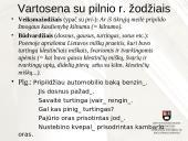 Keblesnieji įnagininko ir dvejybinių linksnių vartojimo atvejai 16 puslapis