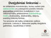 Keblesnieji įnagininko ir dvejybinių linksnių vartojimo atvejai 4 puslapis