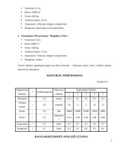 Vienadažniai GPS prietaisai 4 puslapis