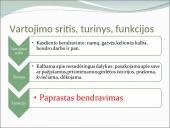 Apie funkcinius stilius 4 puslapis