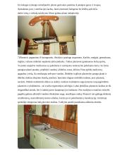 Virtuvės baldai 5 puslapis