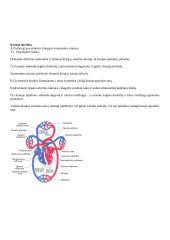 Kraujotakos savarankiškas darbas 2 puslapis