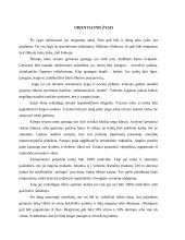 Žygio apranga 2 puslapis