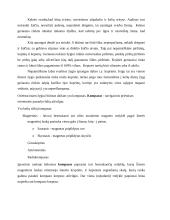 Žygio apranga 3 puslapis