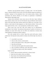 Žygio apranga 4 puslapis