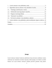 Laisvės atėmimo vietų subkultūra 2 puslapis
