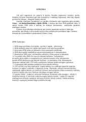 Žmogaus genomas 2 puslapis