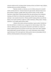 Pamokos ugdomoji analizė: Rusų kalba 5 puslapis