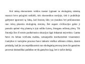 Ekonominė aplinkosauga 2 puslapis