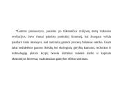 Ekonominė aplinkosauga 4 puslapis