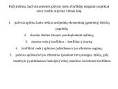 Ekonominė aplinkosauga 6 puslapis