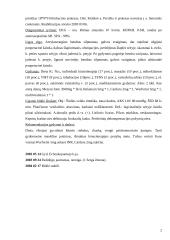 Slaugos planas: Aortos aneurizma 2 puslapis