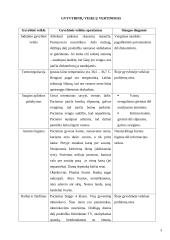 Slaugos planas: Aortos aneurizma 3 puslapis