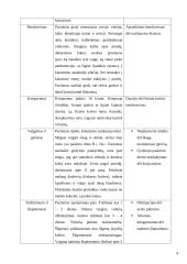 Slaugos planas: Aortos aneurizma 4 puslapis