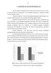 AB „Vilkyškių pieninė“ ūkinė finansinė veikla 11 puslapis