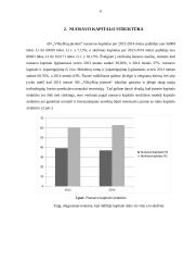 AB „Vilkyškių pieninė“ ūkinė finansinė veikla 5 puslapis