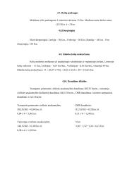 Šiauliai –– Eindhovenas 11 puslapis