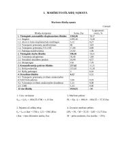 Šiauliai –– Eindhovenas 12 puslapis