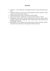 Šiauliai –– Eindhovenas 13 puslapis