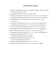 Šiauliai –– Eindhovenas 14 puslapis