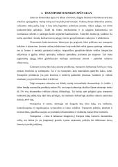 Šiauliai –– Eindhovenas 3 puslapis