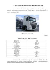 Šiauliai –– Eindhovenas 4 puslapis