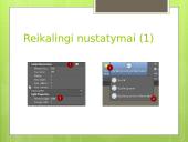 Informacinių technologijų savarankiškas darbas „Langas“ 20 puslapis