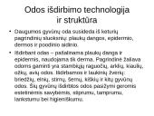 Odos technologija 5 puslapis