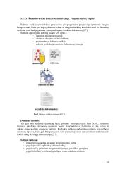 Kryžiažodžių šablonų rinkinys  14 puslapis