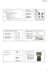 Ekosistemų koncepcija 2 puslapis