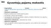 Paskaita apie mokesčius 3 puslapis