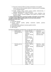 Kineziterapinis atvejis 2 puslapis