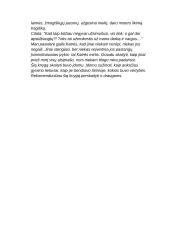 Aprašymas Žemaitė "Marti" 2 puslapis