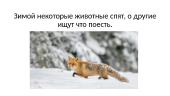 Зима 8 puslapis