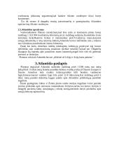 Atlantida 4 puslapis