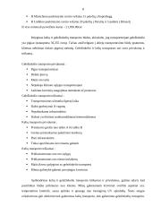 „X“ įmonės maršruto optimizavimas programinėmis priemonėmis 8 puslapis