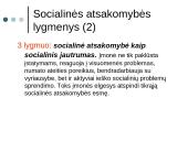 Įmonių socialinė atsakomybė skaidrės 11 puslapis