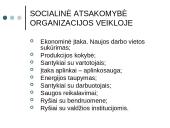 Įmonių socialinė atsakomybė skaidrės 4 puslapis