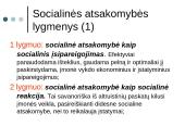 Įmonių socialinė atsakomybė skaidrės 10 puslapis