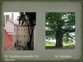 Mikalojus Daukša (1527(1538) – 1613) 9 puslapis