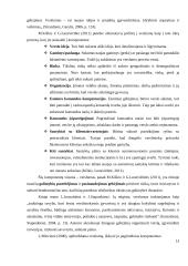 Brandžios asmenybės kriterijai plėtojant verslumo kompetenciją  11 puslapis