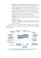 Brandžios asmenybės kriterijai plėtojant verslumo kompetenciją  12 puslapis