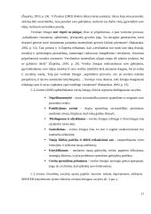 Brandžios asmenybės kriterijai plėtojant verslumo kompetenciją  15 puslapis